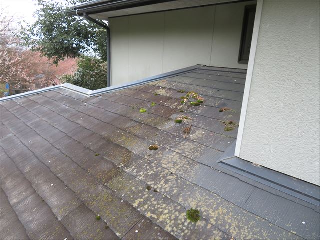 屋根 苔 汚れ 劣化